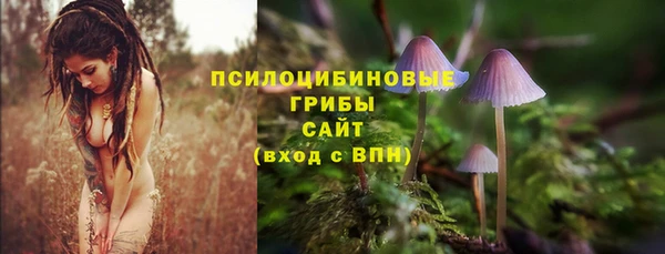 молекула духа Белоозёрский