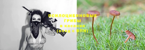 молекула духа Белоозёрский