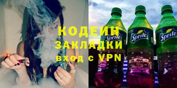 хмурый Белокуриха